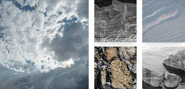 Patterns in Nature Patterns in Nature